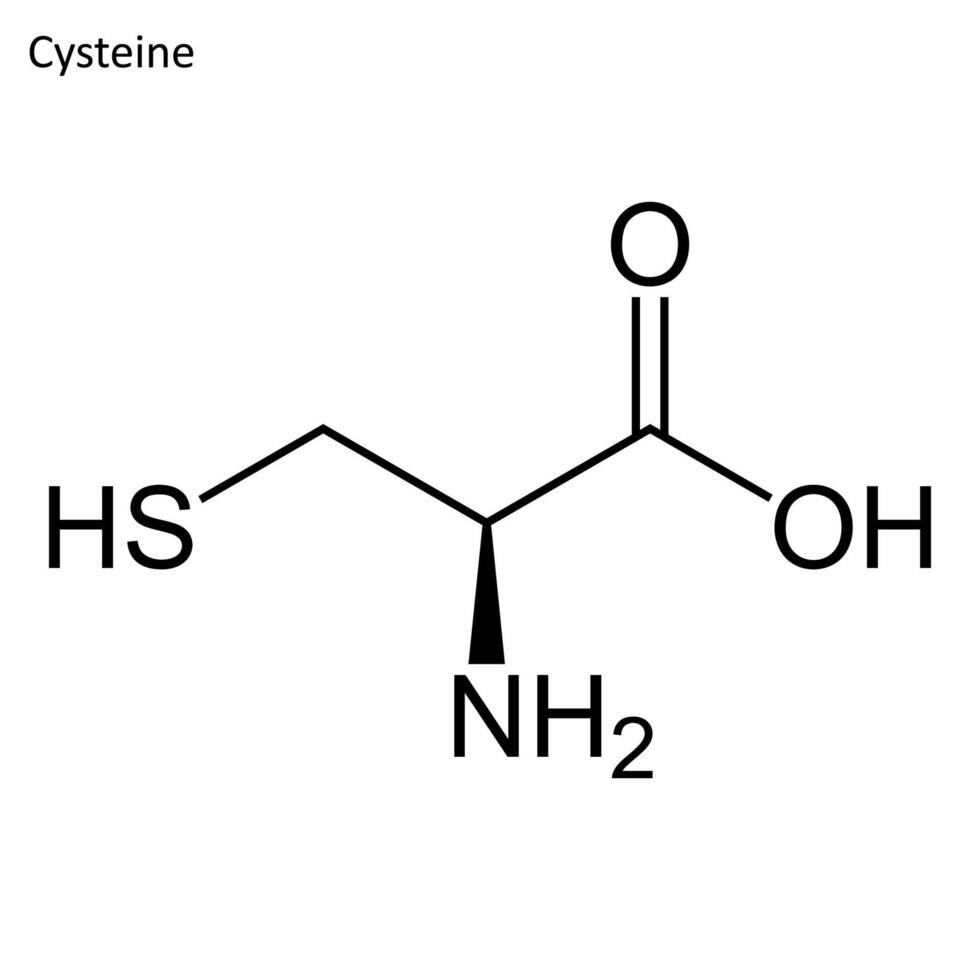 formule squelettique de la cystéine vecteur