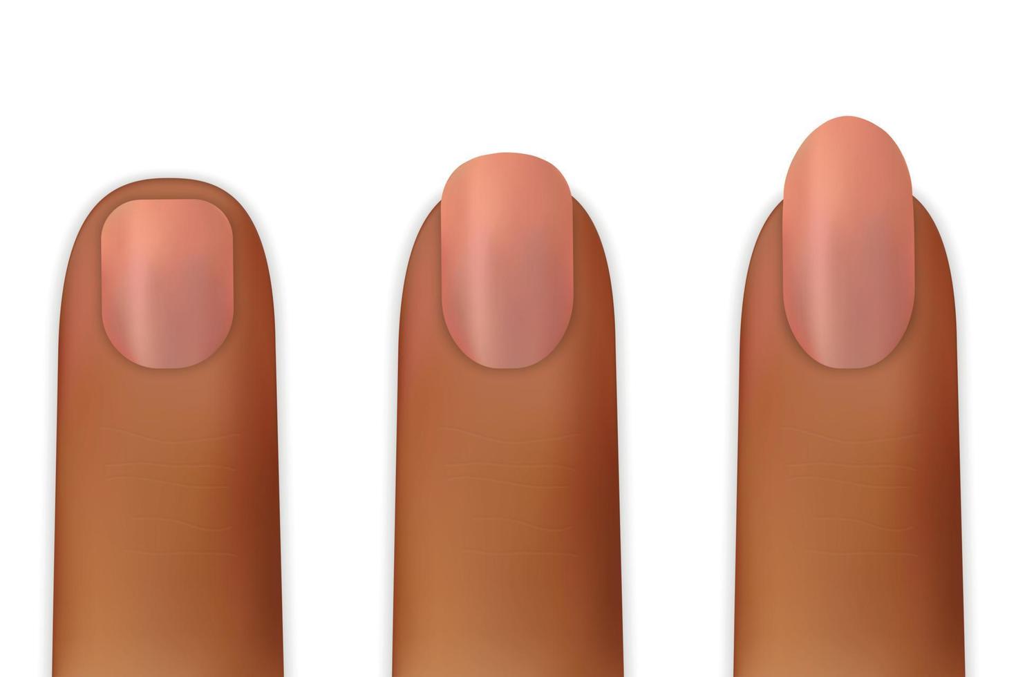 ongles femmes isolés vecteur