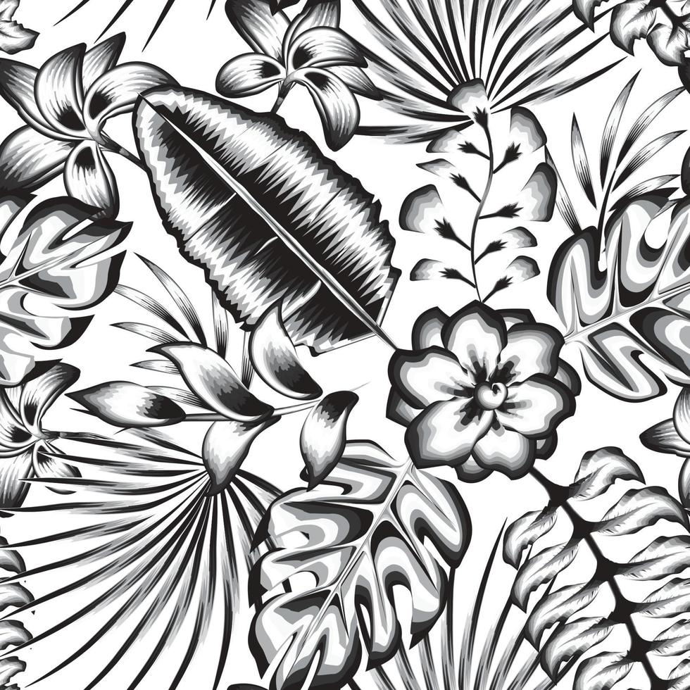 les plantes tropicales de la forêt tropicale vintage laissent un motif harmonieux à la mode avec une fleur de jasmin monochromatique abstraite et un feuillage de banane monstera sur fond blanc. conception d'impression d'été. l'automne vecteur