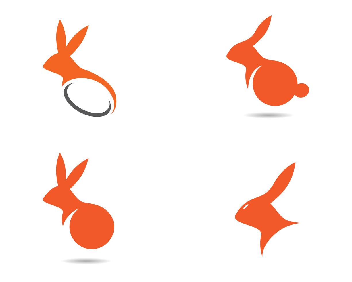 ensemble de logo de lapin orange vecteur