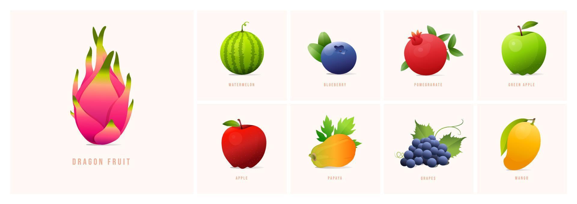 ensemble de fruits, illustrations vectorielles de style moderne. raisins, pastèque, myrtille, grenade, papaye, pomme, mangue, pomme verte, fruit du dragon, etc. vecteur