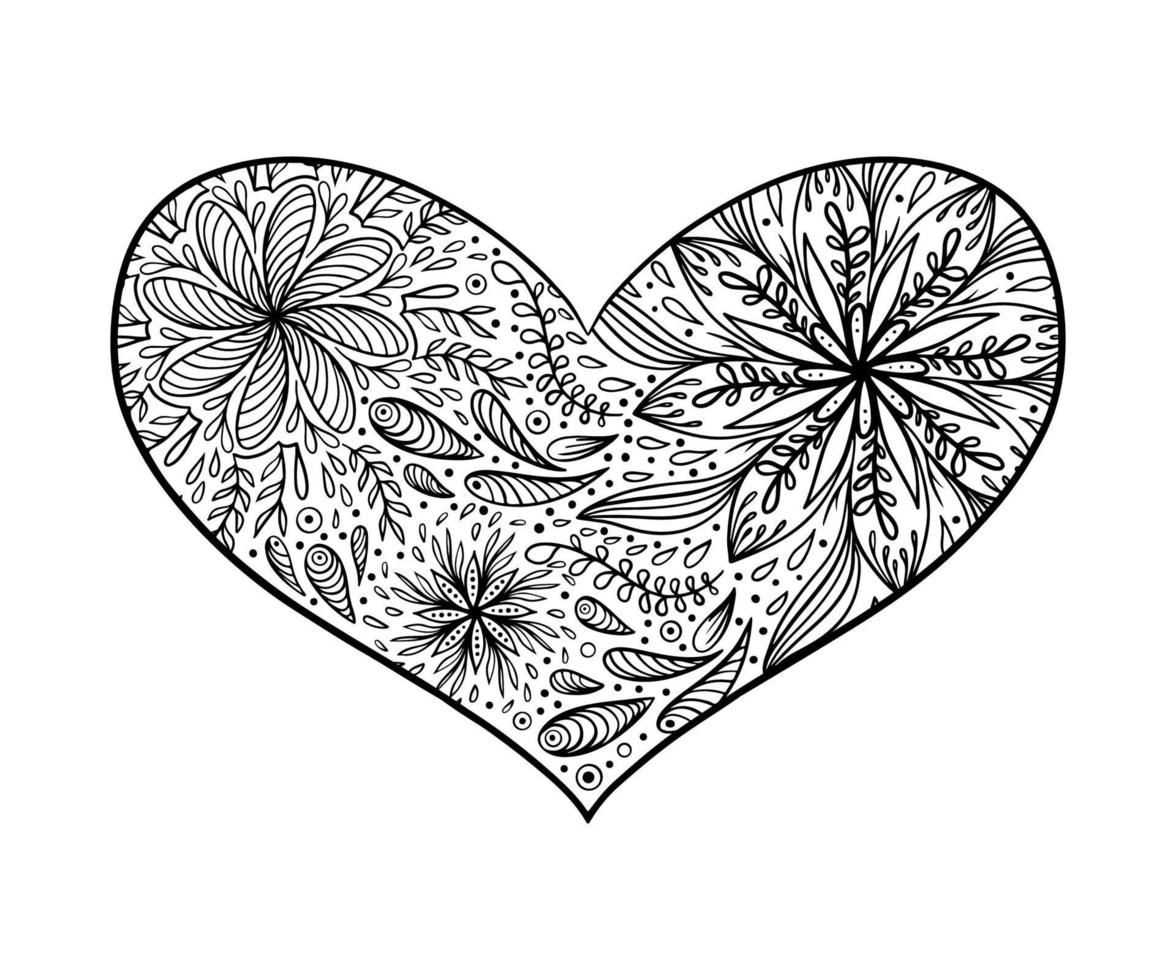 fleurs de mandala aster florales, dessinées à la main dans un style doodle isolé sur fond blanc. page de coloriage pour adultes et enfants, décoration de salle de jeux pour enfants ou carte de voeux. chrysanthème, lotus dans un coeur vecteur