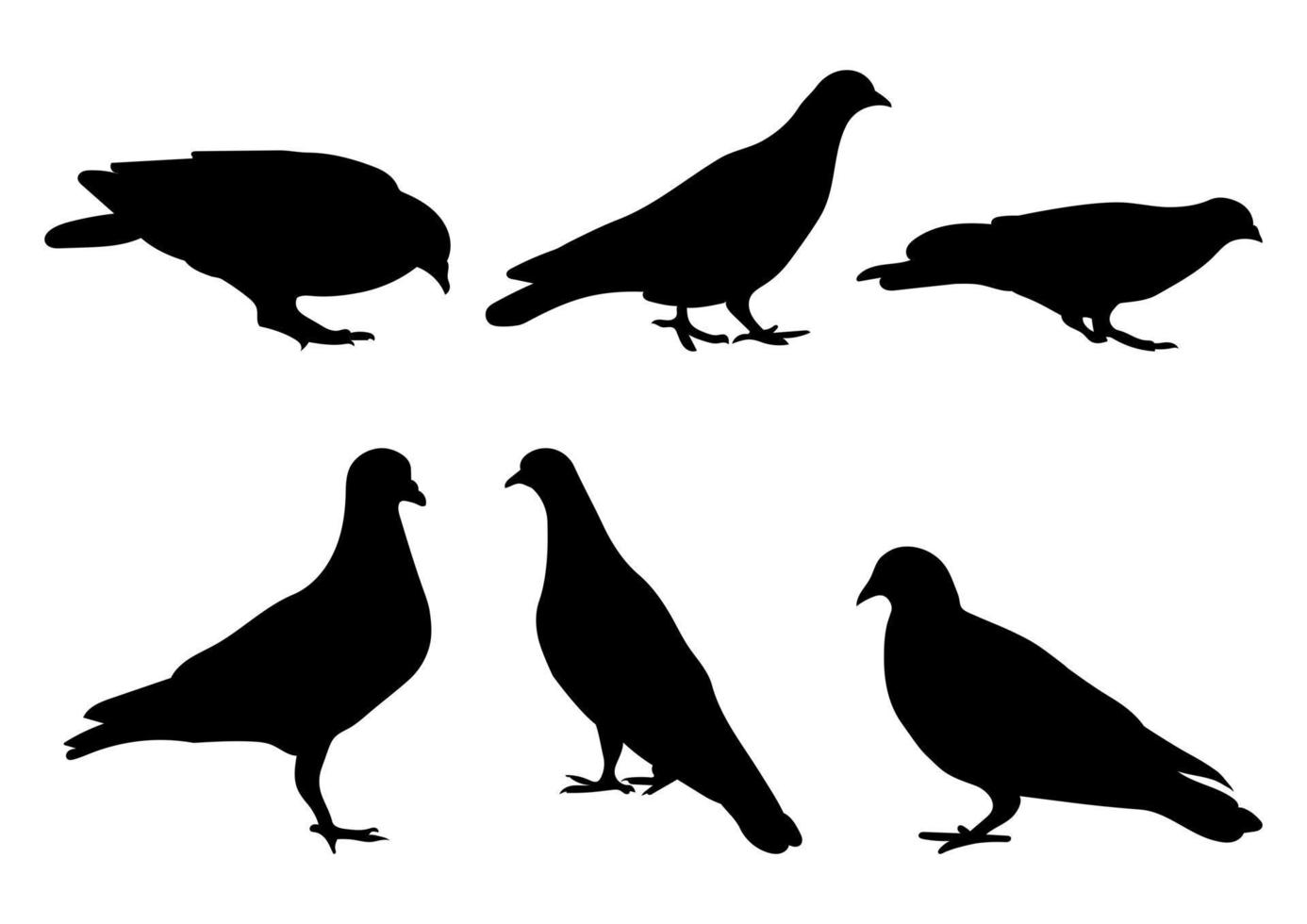 colombes pigeons debout, pack différent de silhouettes d'oiseaux, vecteur isolé