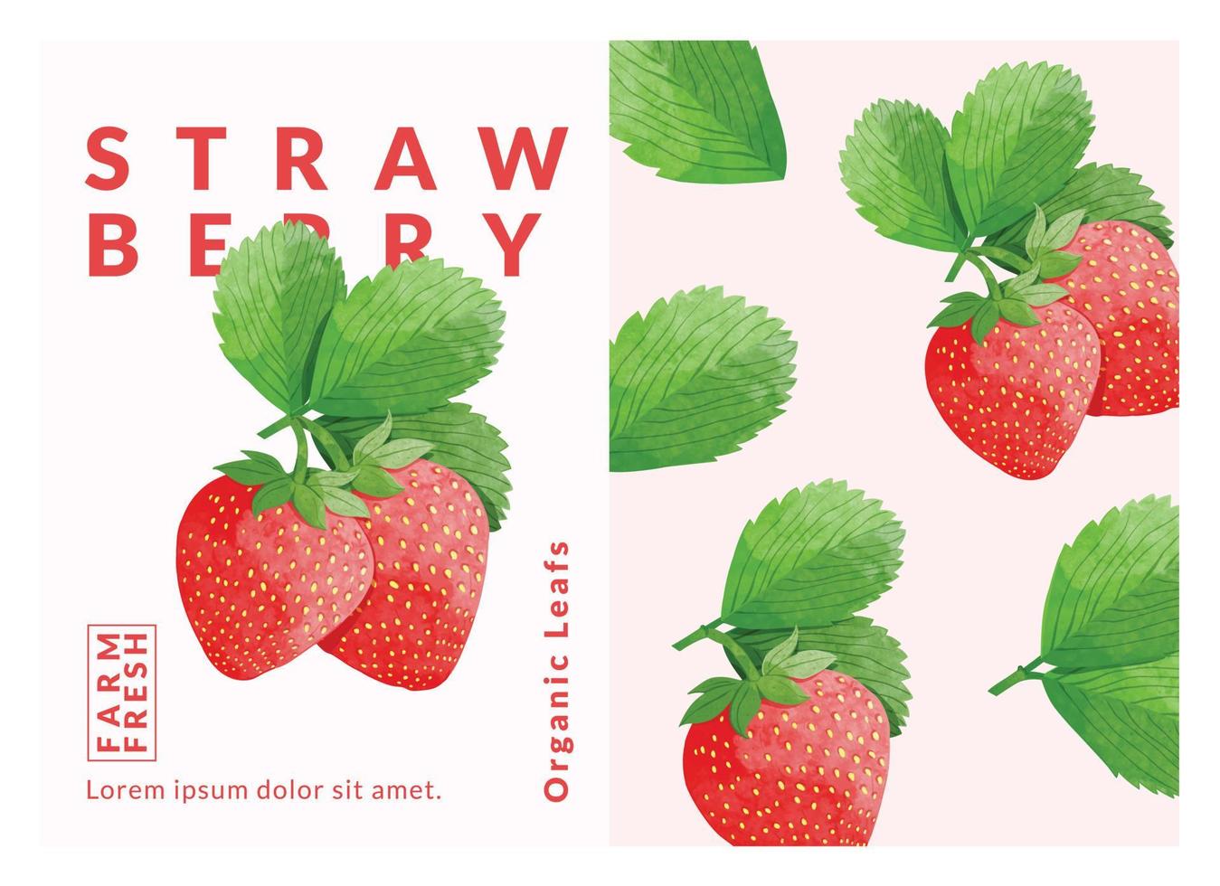 modèles de conception d'emballage de fraise, illustration vectorielle de style aquarelle. vecteur