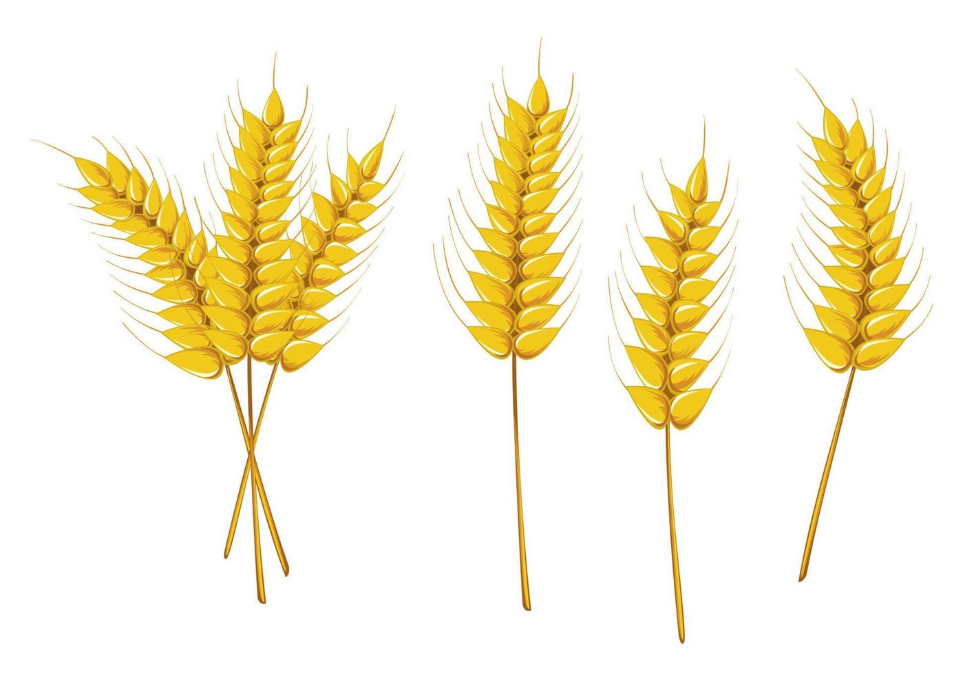 agriculture épillets de céréales de blé vecteur