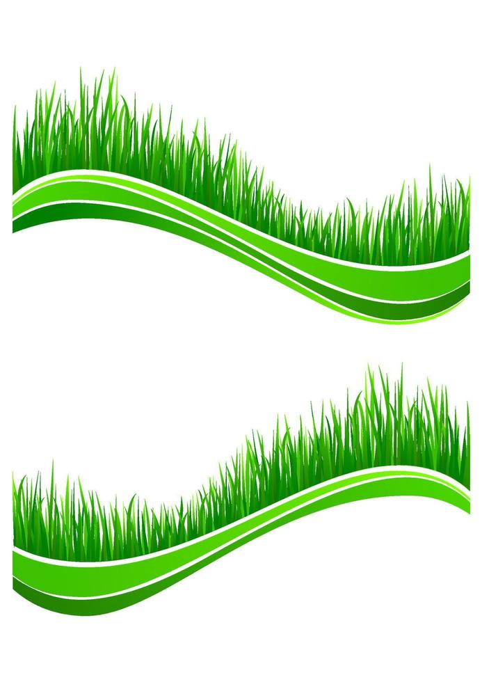 vagues d'herbe verte printanière fraîche vecteur
