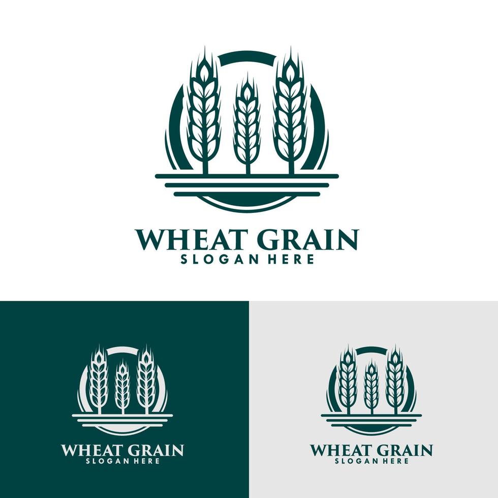 modèle de conception de logo de grain de blé vecteur
