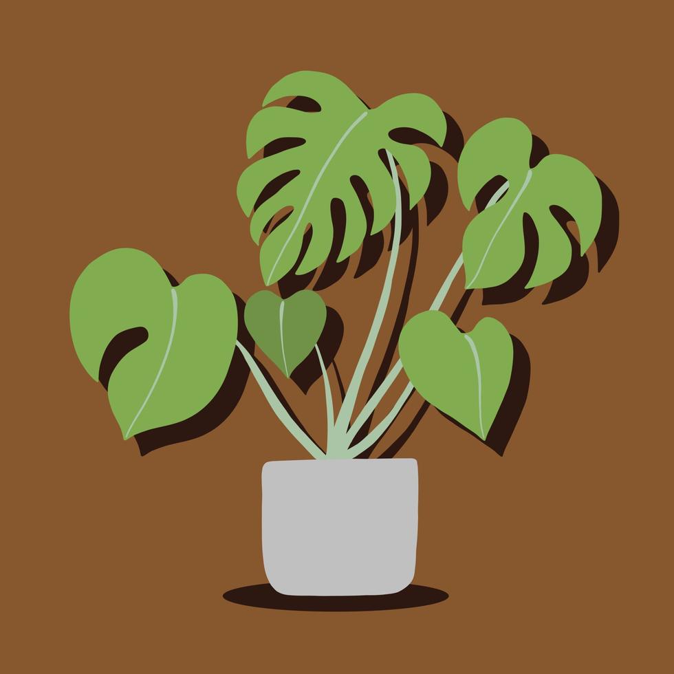 simplicité monstera plante dessin à main levée design plat. vecteur