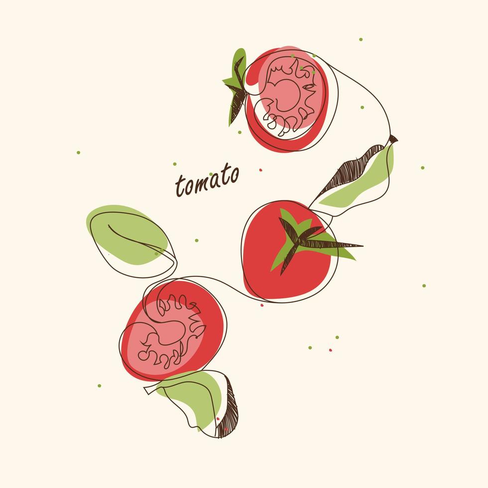dessin de tomate linéaire. vecteur