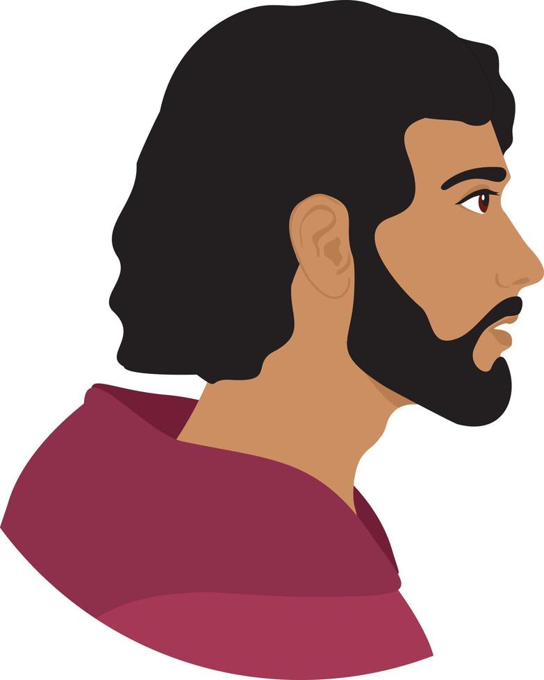 portrait de profil d'hommes multiraciaux isolés de personnages de dessins animés plats. visage de profil masculin, personnage de personnes avatar, icône de portrait de personne vecteur