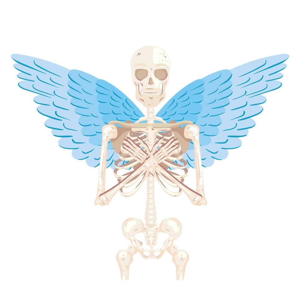 squelette avec des ailes vecteur