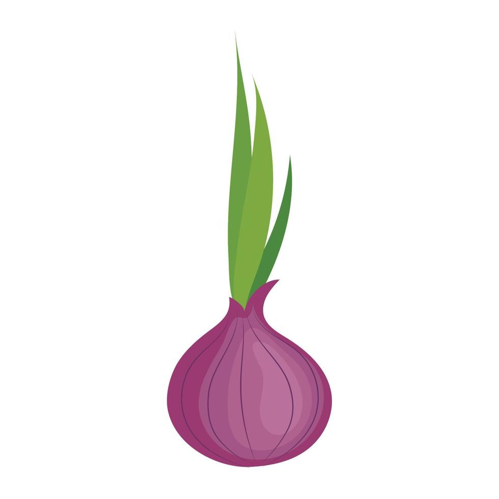 légume oignon violet frais vecteur
