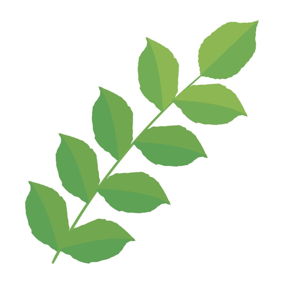 branche verte avec des feuilles vecteur