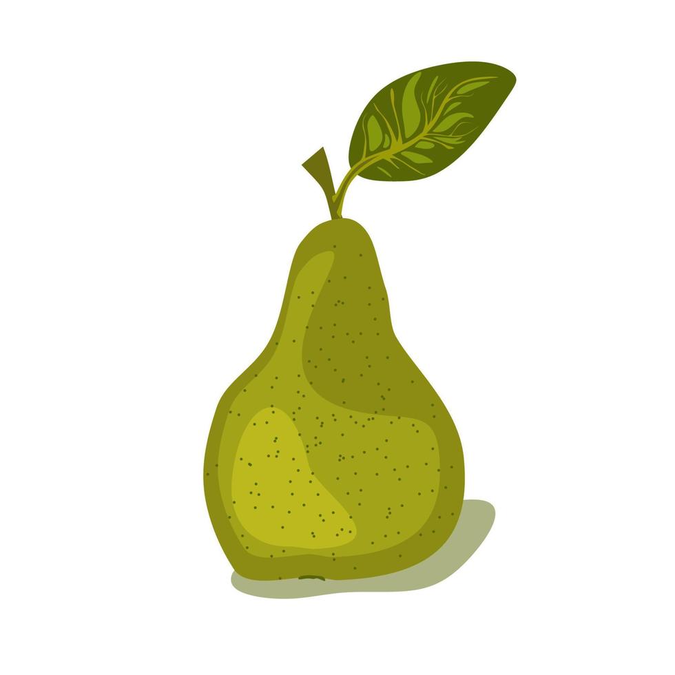 poire verte isolée sur fond blanc. illustration vectorielle. clipart poire unique vecteur