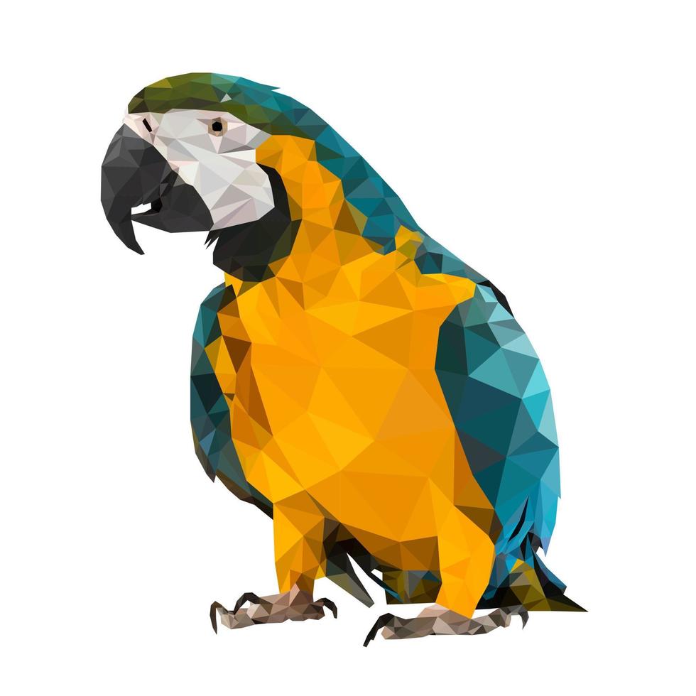 illustration vectorielle perroquet coloré low poly pour votre conception vecteur