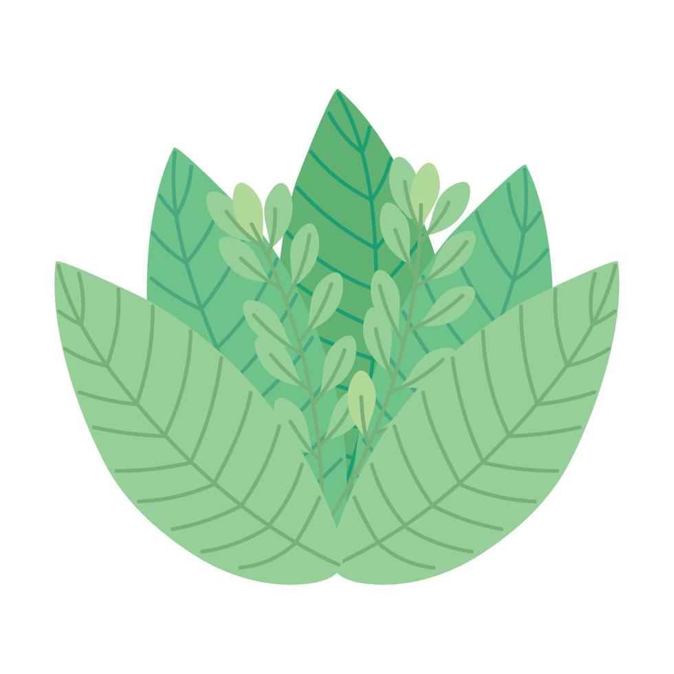 feuilles écologie végétale vecteur