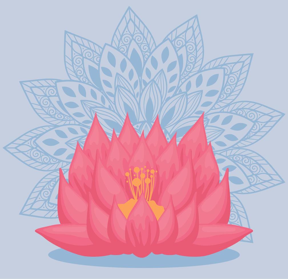 fleur de lotus rose et mandala vecteur