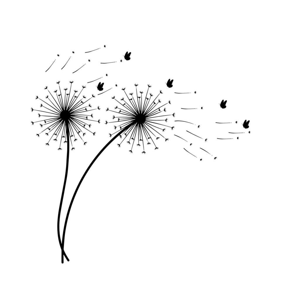 illustrations fleur de pissenlit avec silhouette de papillon vecteur