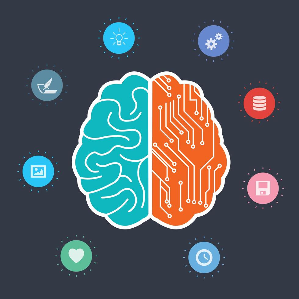 cerveau créatif avec deux côtés vecteur