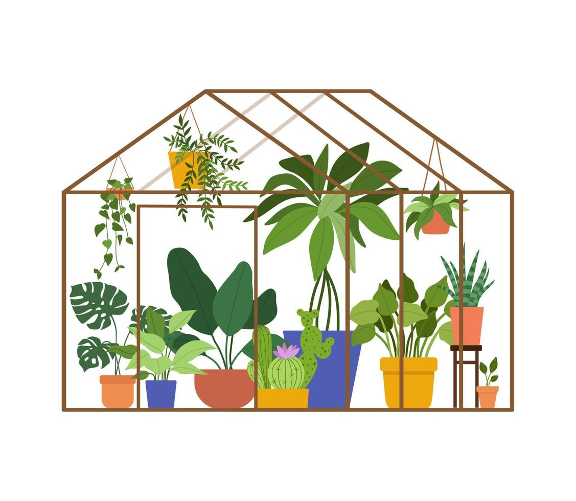 concept de serre de plantation. jardin de verre verrière, fleurs et plantes en pot. illustration vectorielle de jardinage amateur isolé sur fond blanc. plantes suspendues vecteur