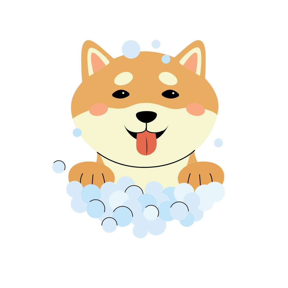 joyeux shiba inu chiot bulles mousse de lavage. illustration vectorielle d'un personnage de tête de chien isolé sur fond blanc. concept de soins pour animaux de compagnie vecteur