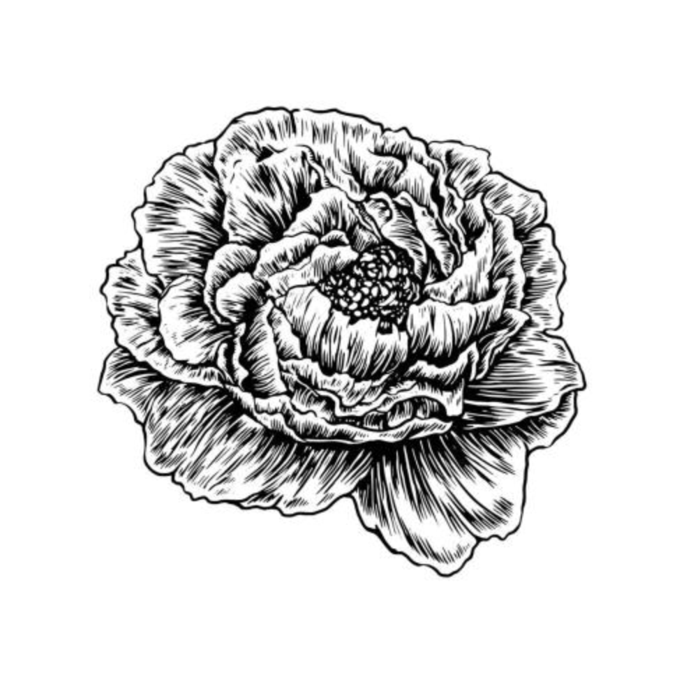 fleur de fleur dessiné main vintage vecteur