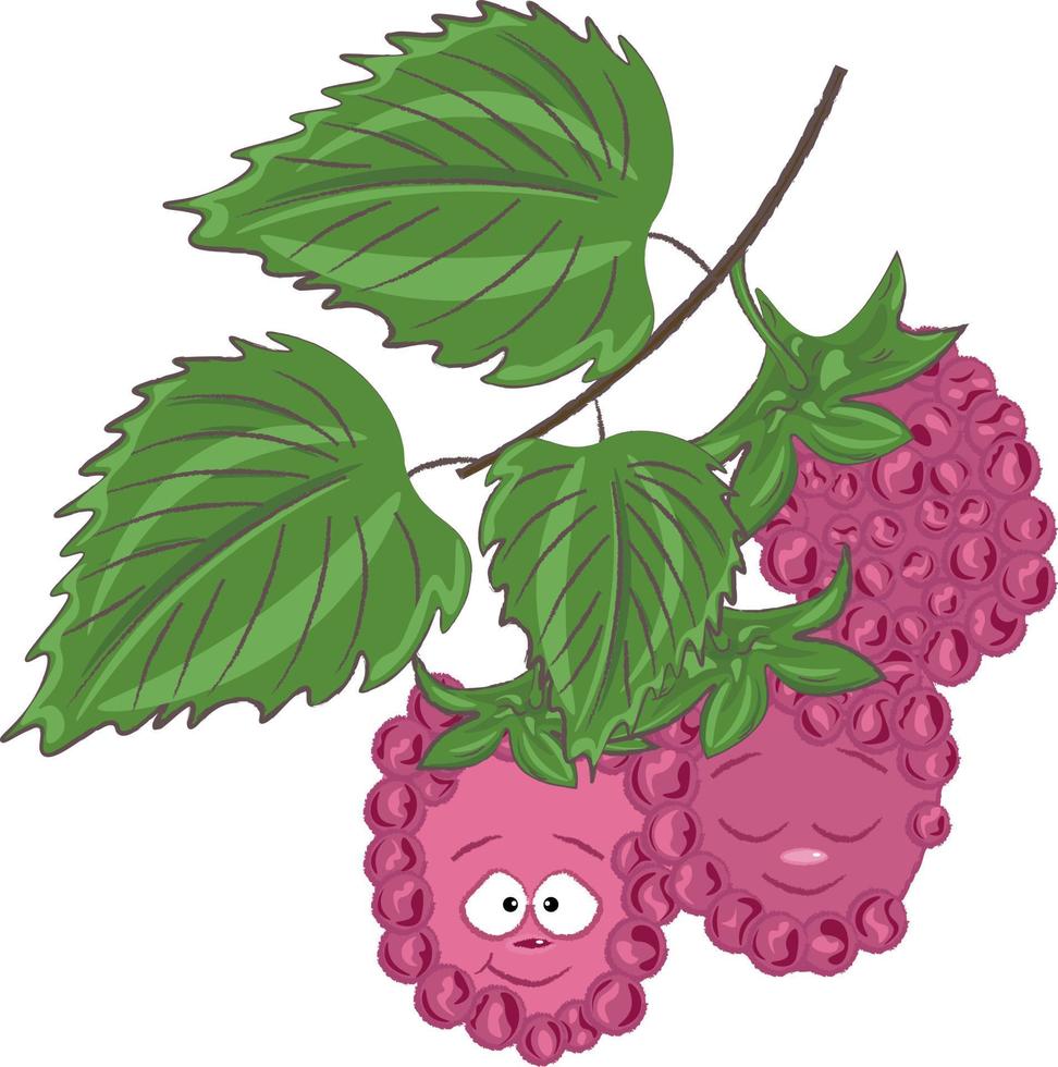 framboise avec des feuilles vecteur