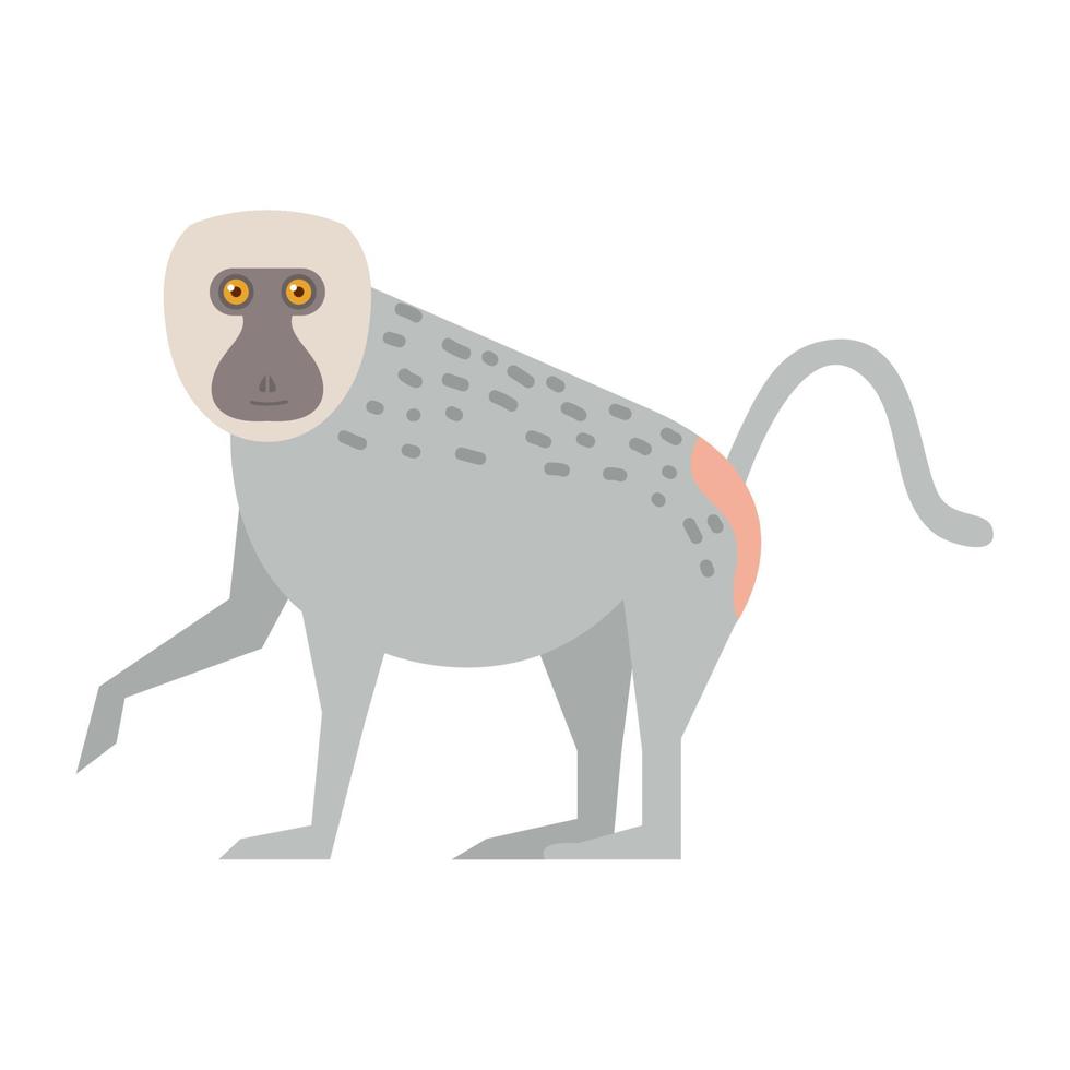 babouin singe animal vecteur