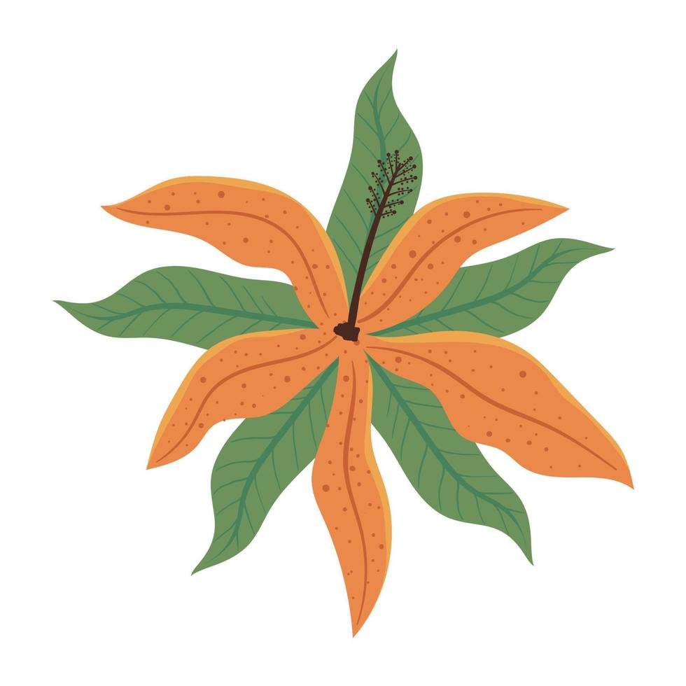 fleur exotique orange vecteur