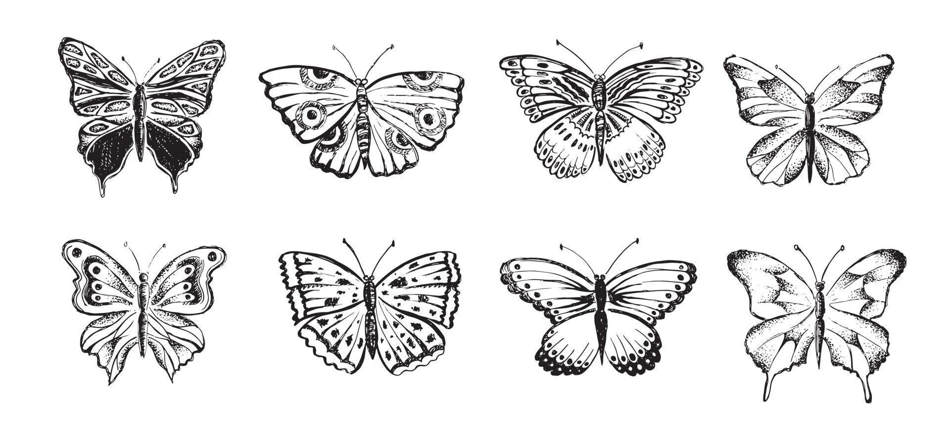 papillon illustrations vectorielles dessinées à la main. vecteur