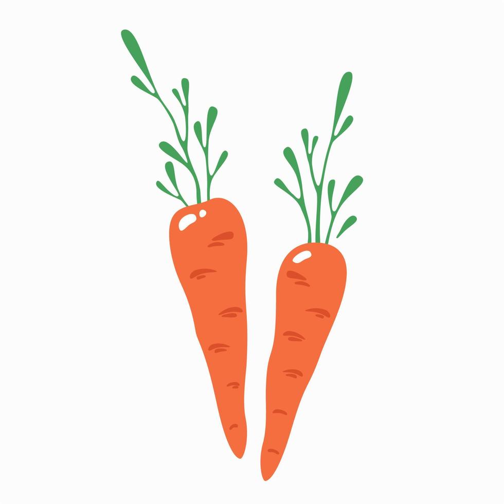 icône de carotte isolé sur fond blanc. illustration vectorielle. vecteur