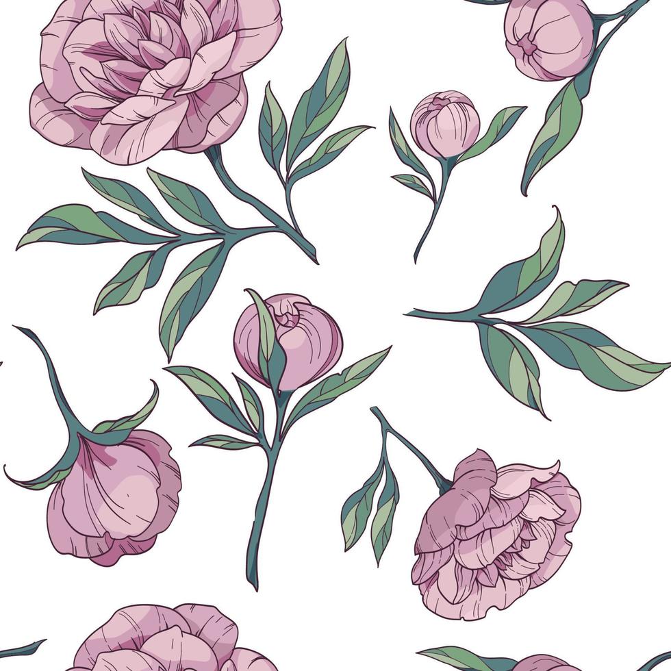 motif vectoriel floral sans couture avec pivoines roses. fleurs et bourgeons avec des feuilles vertes sur fond blanc.
