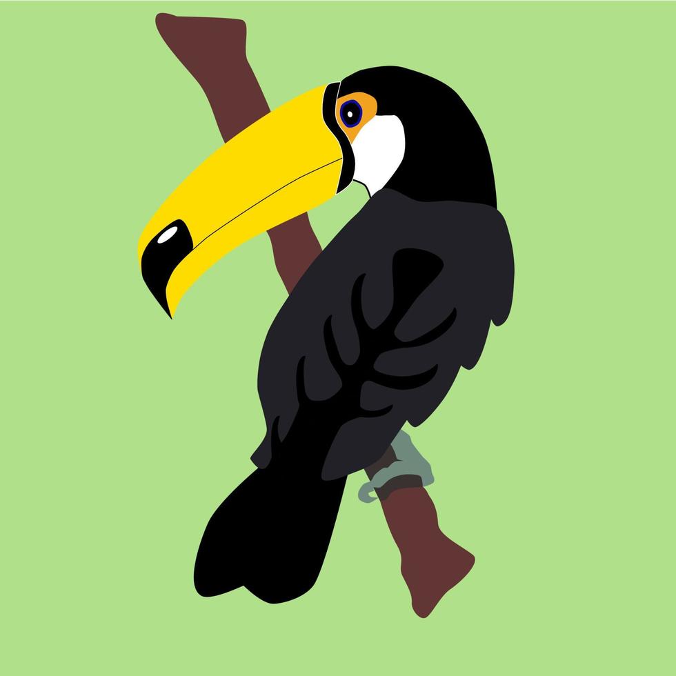 oiseau toucan sur la branche vecteur