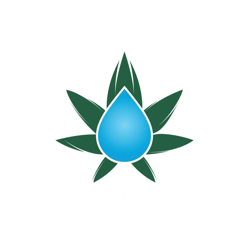 icône de conception de logo de goutte d'eau de feuille de cannabis. concept de logo vectoriel d'huile de cannabis.