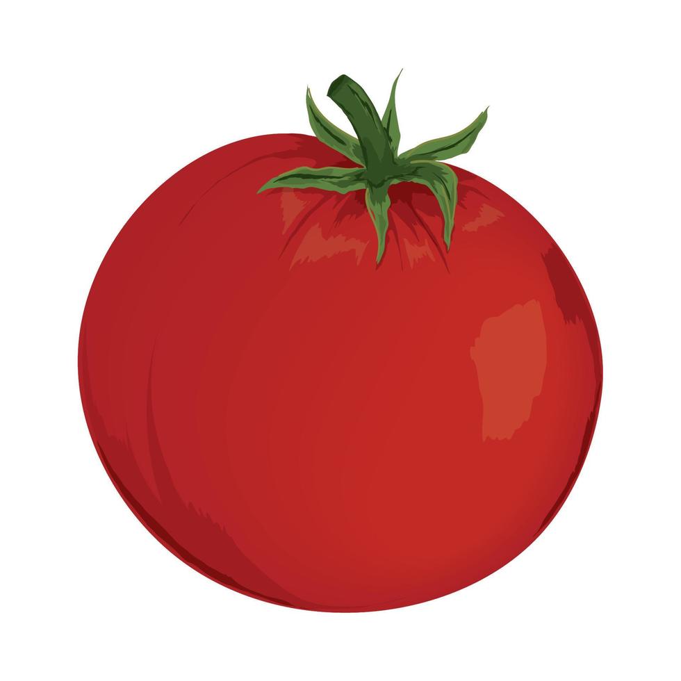 icône de légume tomate vecteur