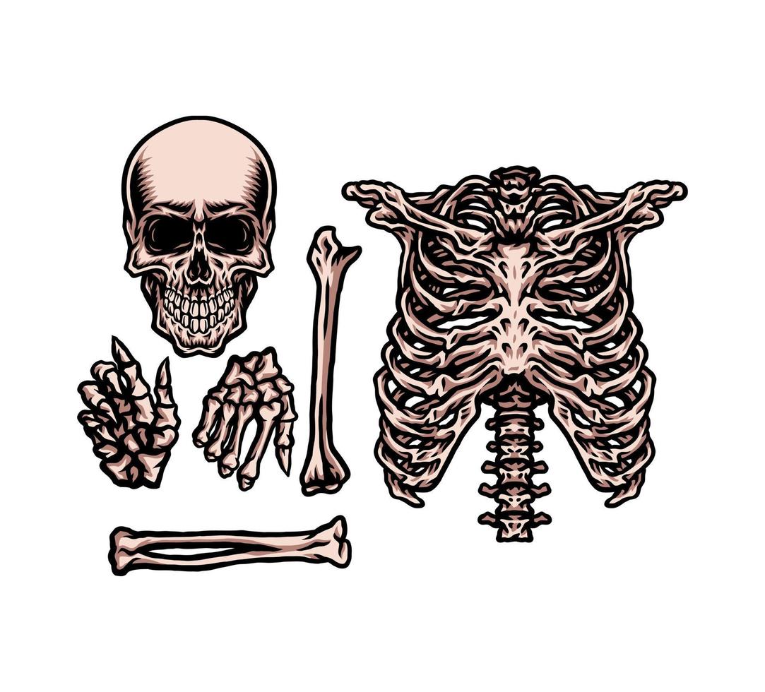ensemble de squelette humain, style de ligne dessiné à la main avec couleur numérique, illustration vectorielle vecteur