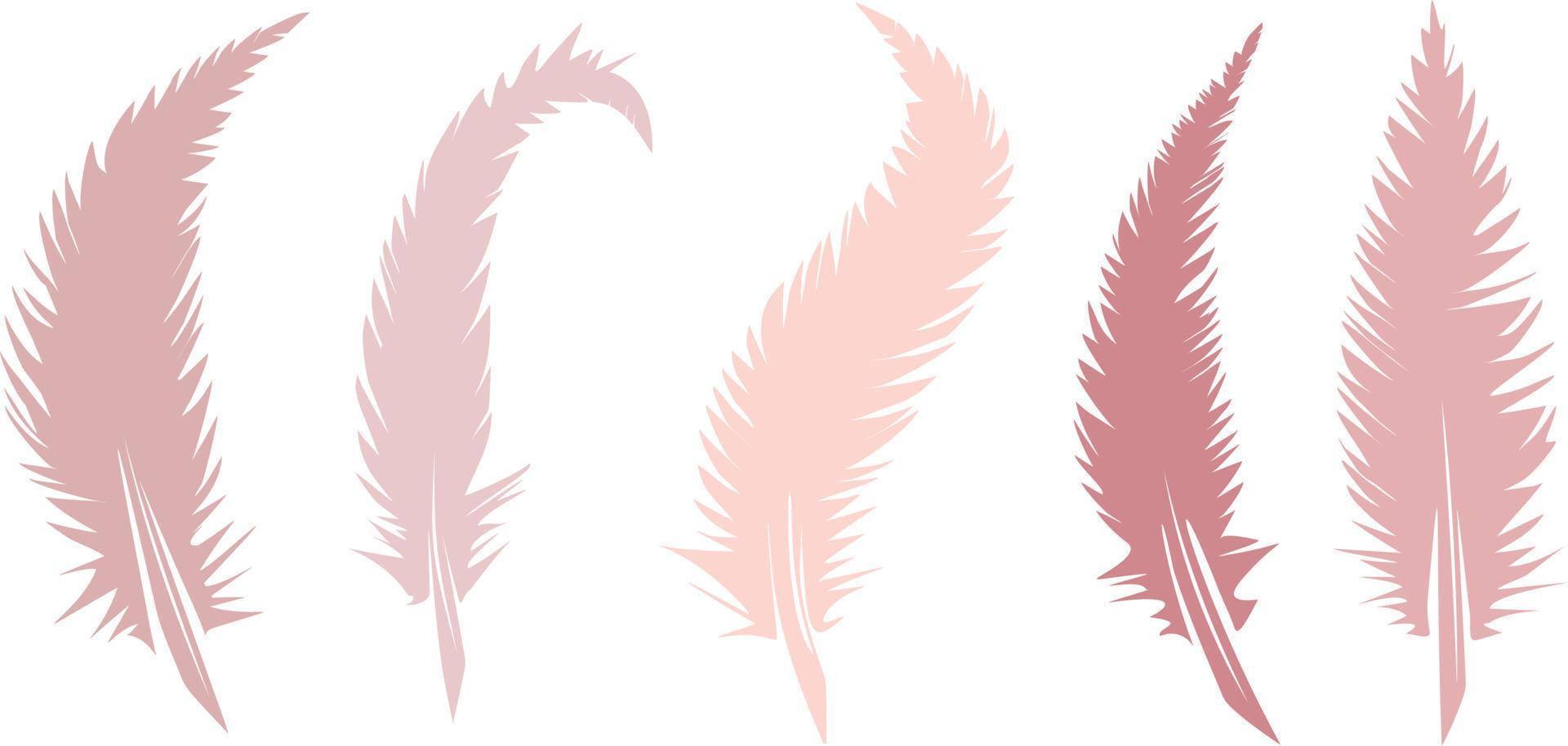 ensemble de plumes vector illustration d'oiseau isolé