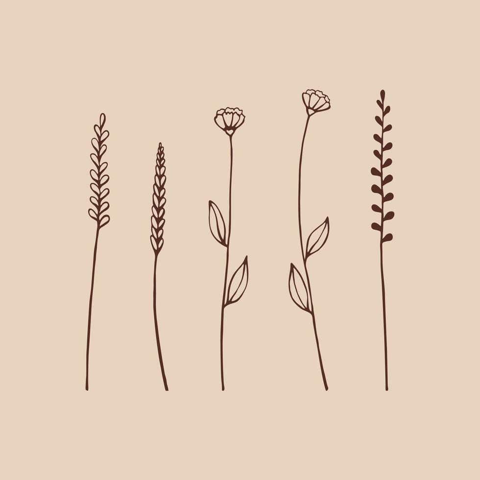 ensemble d'herbes et de fleurs sauvages. éléments floraux dessinés à la main. illustration vectorielle. vecteur