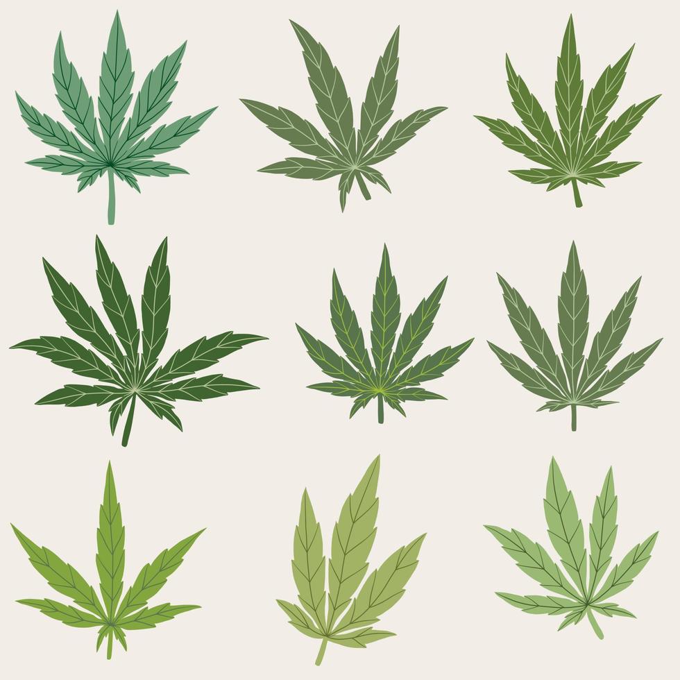 collection de dessins à main levée de feuilles de cannabis de simplicité. vecteur