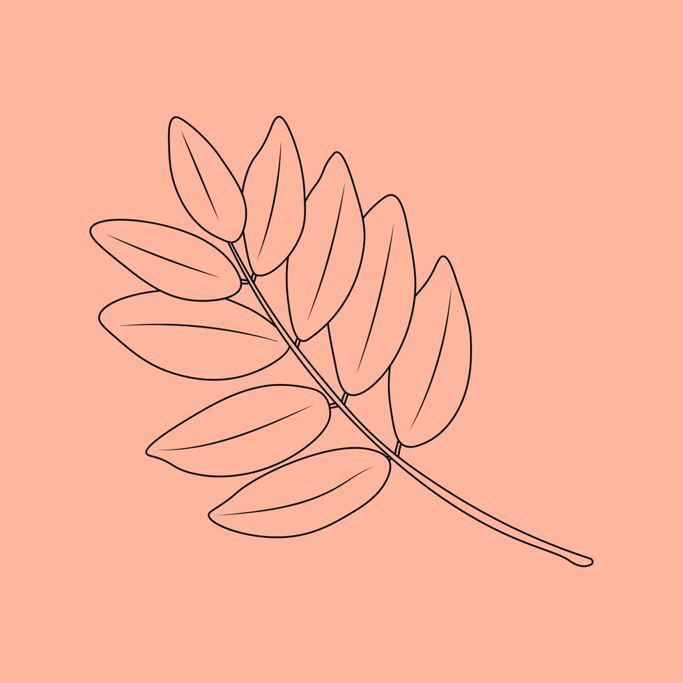 ensemble de contours de feuilles dessinés à la main. illustration vectorielle. sur le fond d'automne vecteur