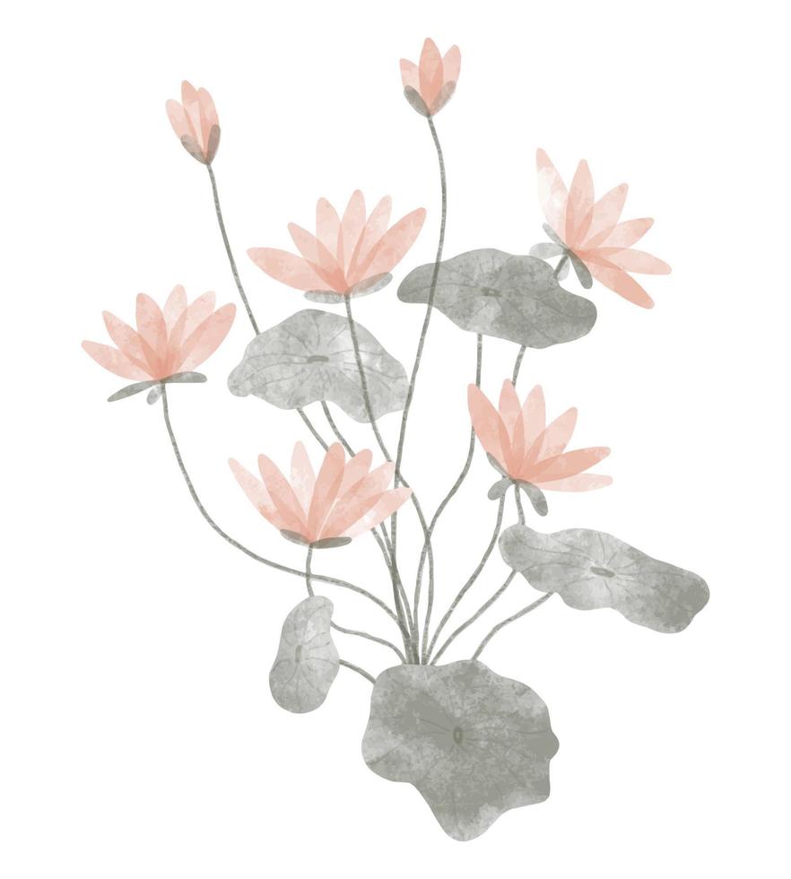 plante tendance aquarelle. illustration vectorielle pour le web, l'application et l'impression. fleurs de lotus isolées floristiques de forme féminine élégante. jardin, élément floral botanique et minimaliste. vecteur