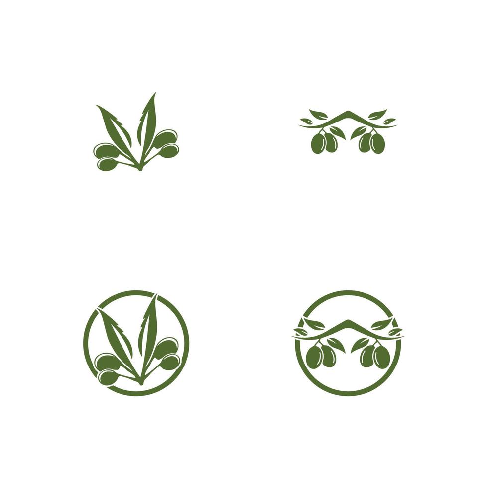 olive logo modèle icône vecteur illustration design