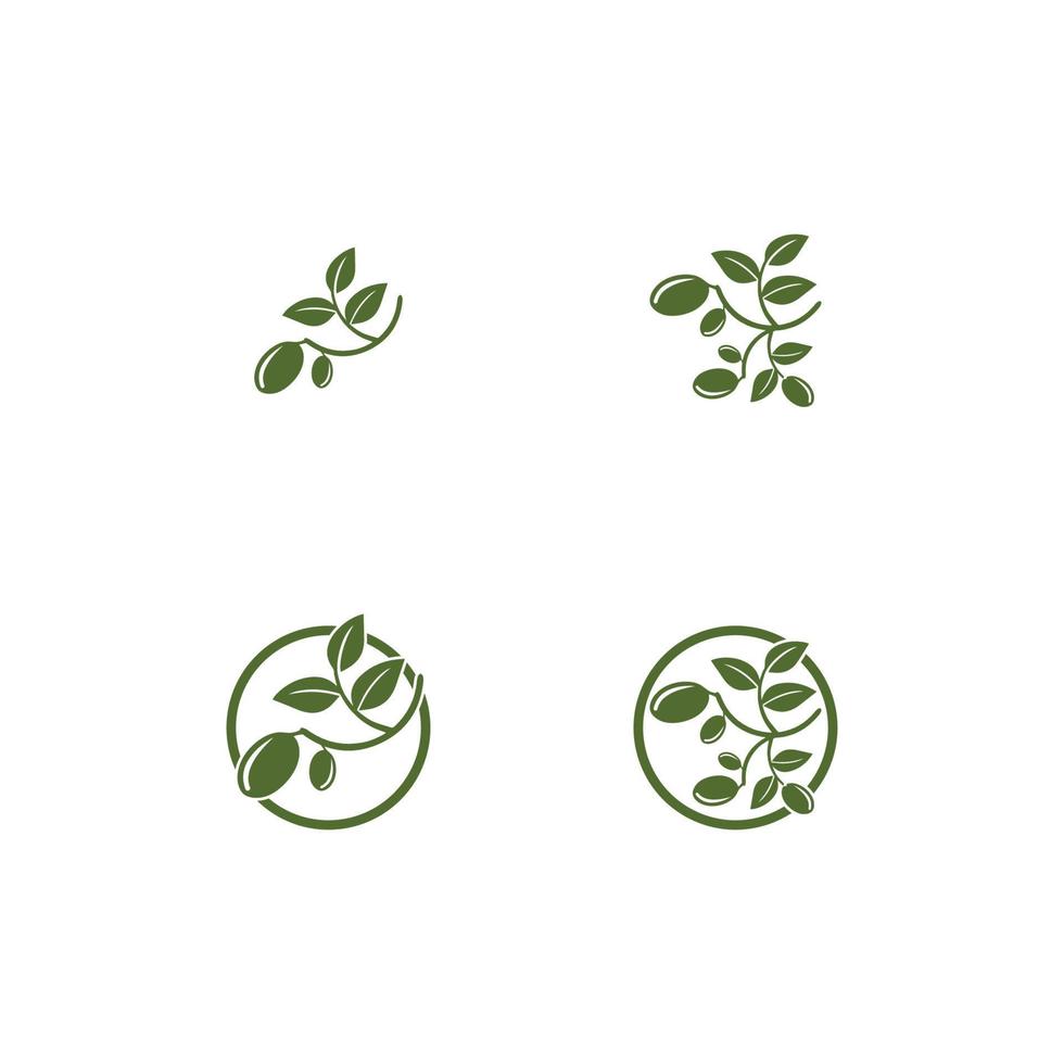 olive logo modèle icône vecteur illustration design