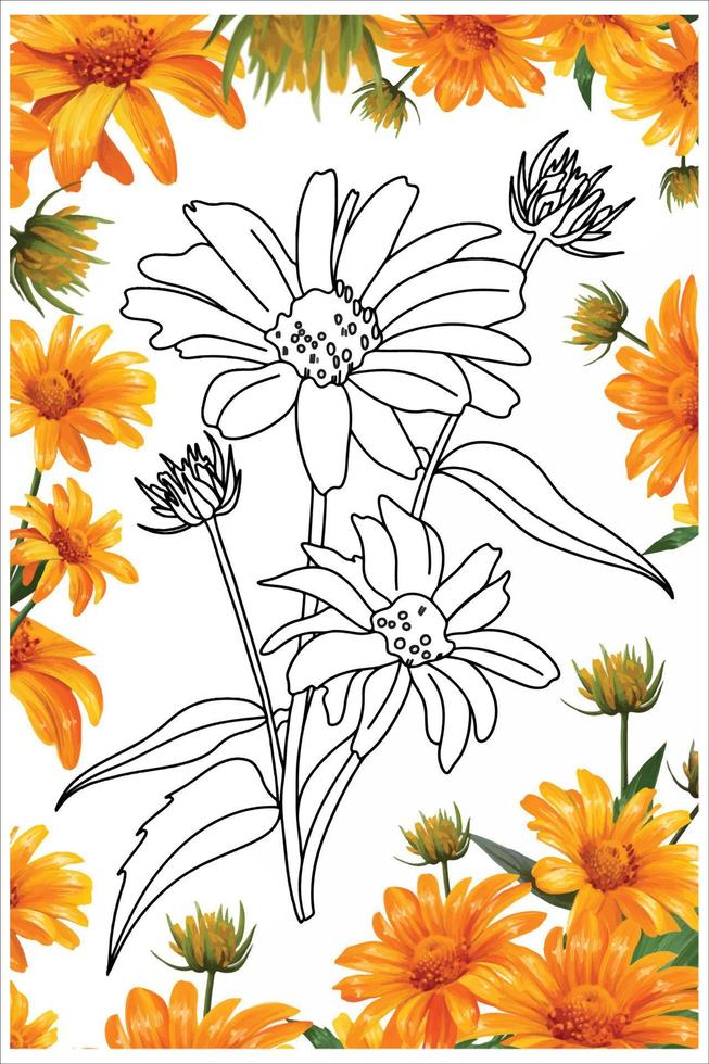 fleur de camomille jaune, gerbera de style doodle, livre de coloriage de fleurs, coloriage vecteur