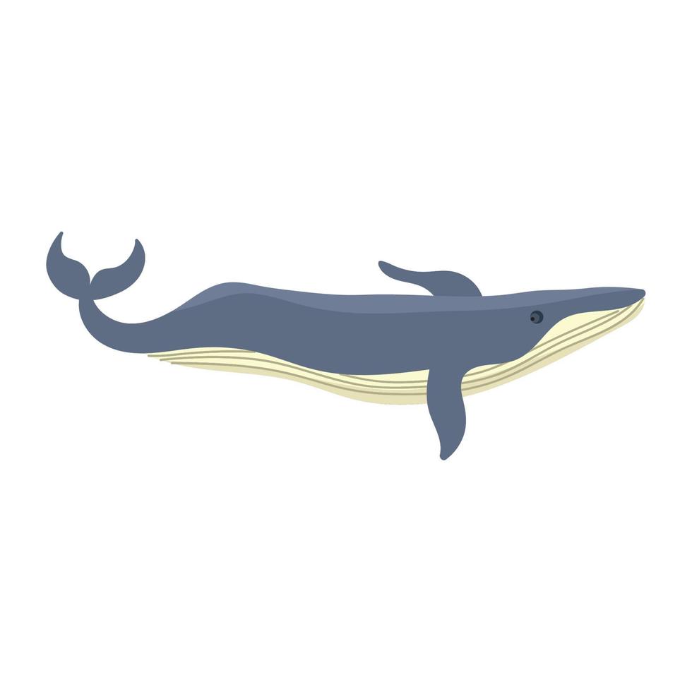 animal baleine à bosse vecteur