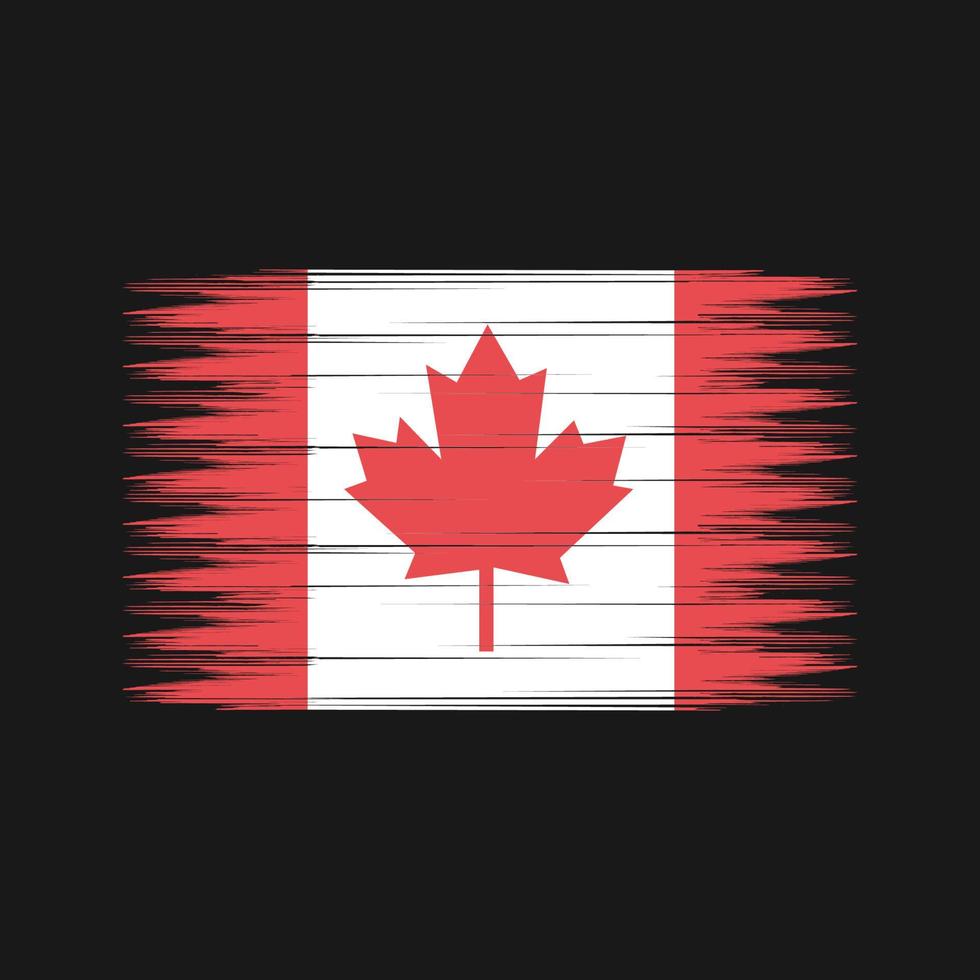 brosse de drapeau du canada. drapeau national vecteur