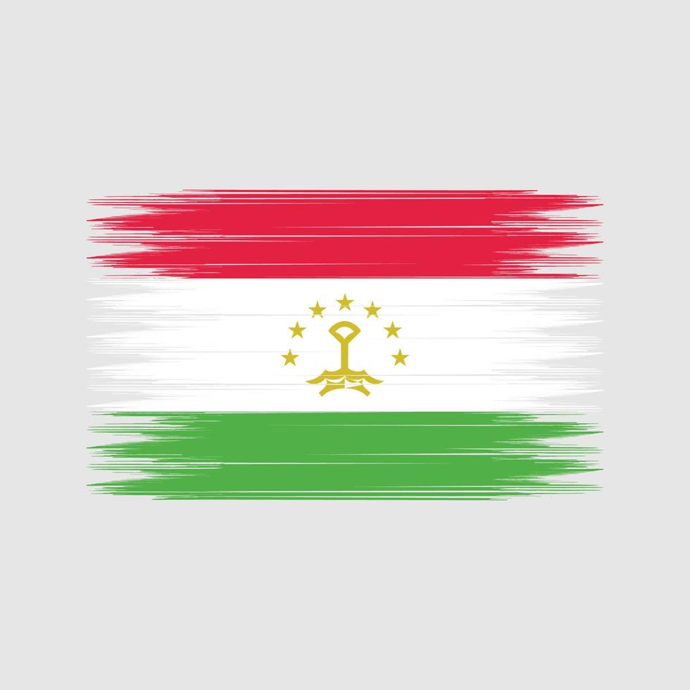 brosse de drapeau du tadjikistan. drapeau national vecteur