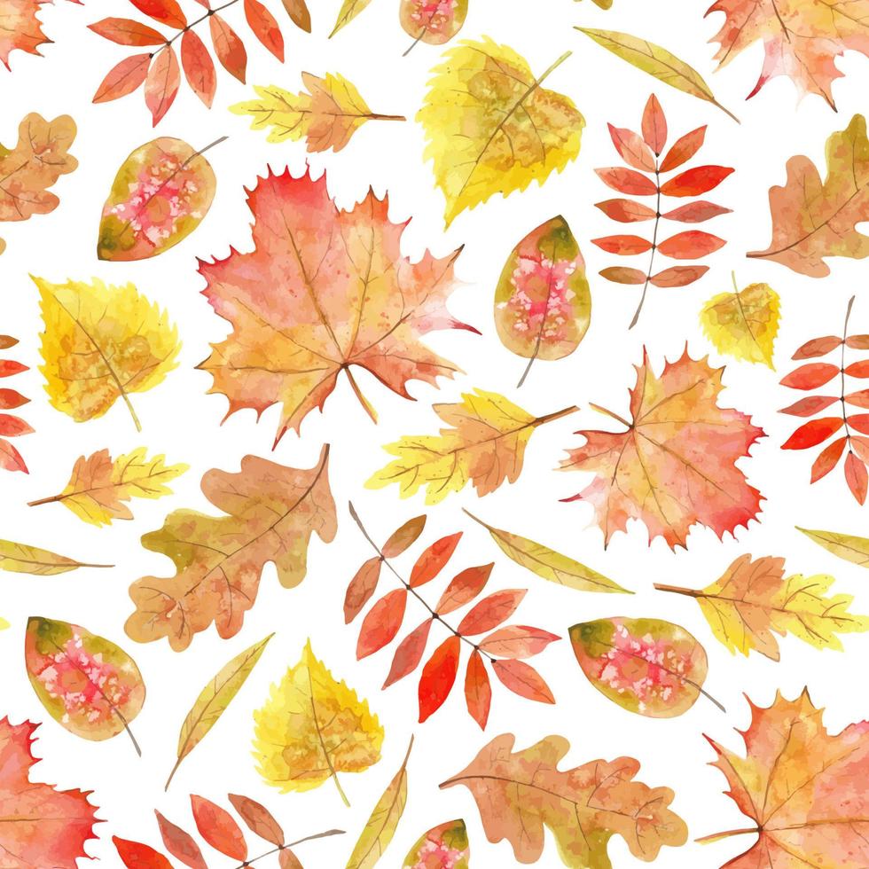 modèle sans couture de feuilles d'automne. impression vectorielle aquarelle dessinée à la main avec des plantes d'automne sur fond blanc pour la toile de fond ou la conception textile. chêne jaune et feuille d'érable orange vecteur