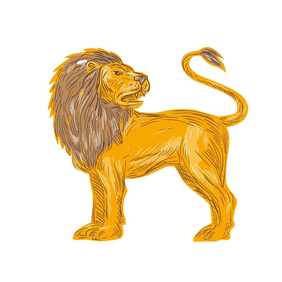 lion en colère gros chat rugissant dessin vecteur