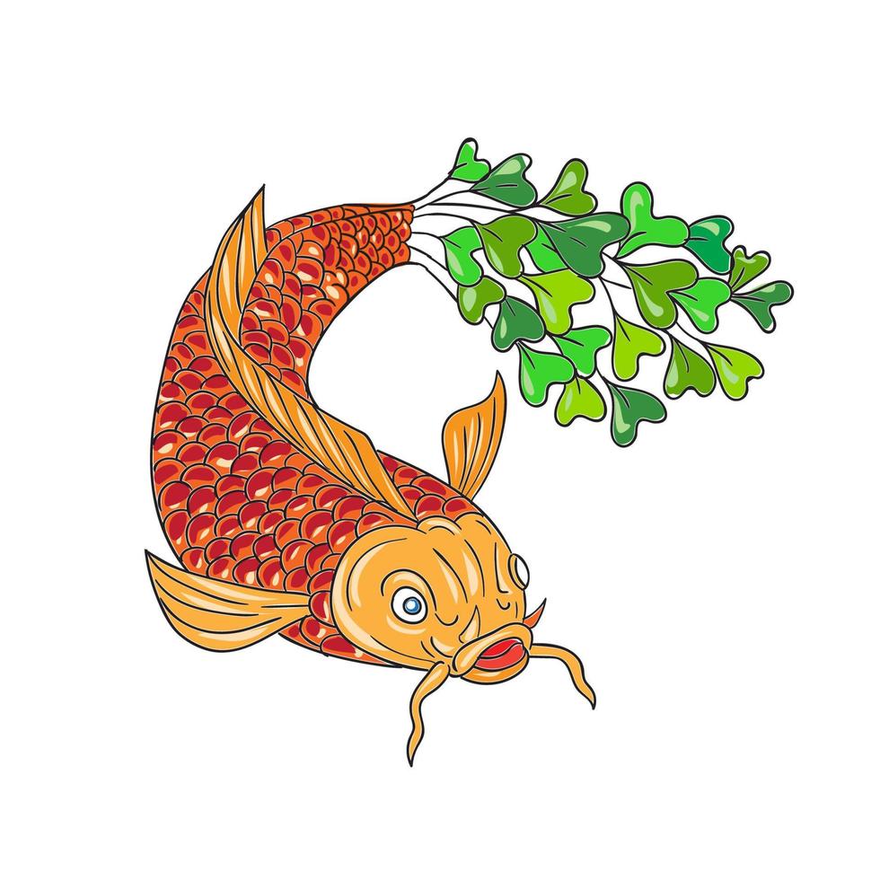 koi nishikigoi carpe poisson microgreen queue dessin vecteur